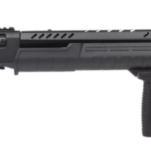 Carina Q-101 BGD
